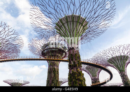 SINGAPORE - DECEMBER 9: The Supertree Grove at Gardens by the Bay Dec. 9, 2014. Stock Photo