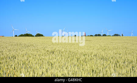 Windmills on a cereal field, foreground blurred. Stock Photo