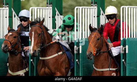 Horse Racing - Scope Charity Race Day - Newbury Raceourse Stock Photo