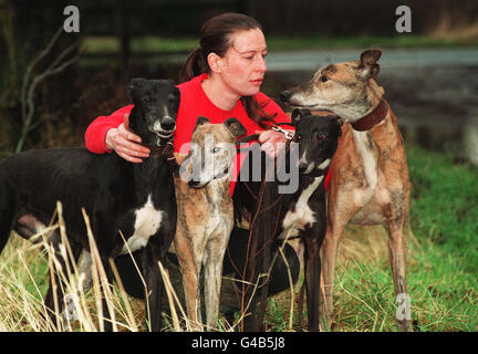PA NEWS PHOTO 12/01/94 A BBC DOCUMENTARY ON THE FATE OF THOUSANDS OF GREYHOUNDS IS EXPECTED TO CAUSE OUTRAGE. THE COUNTRY'S ONLY GREYHOUND SANCTUARY AT SELBY HAS 60 DOGS AT THE MOMENT. JAYNE BARKER IS WITH FOUR OF THEM Stock Photo