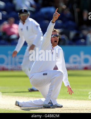 Cricket - npower First Test - Day Two - England v Sri Lanka - SWALEC Stadium. England's Graeme Swann appeals unsuccessfully for an lbw during day two of the npower First Test at the SWALEC Stadium, Cardiff. Stock Photo