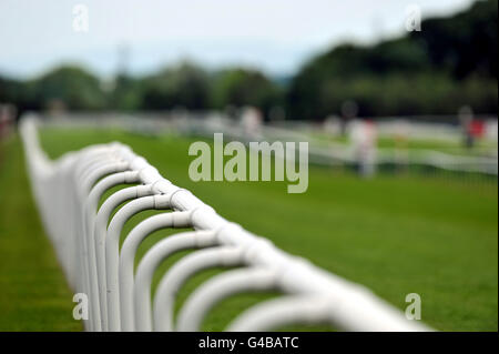 Horse Racing - Betfred Silver Bowl and Temple Stakes - Haydock Park. Detail of the rail at Haydock Park Stock Photo