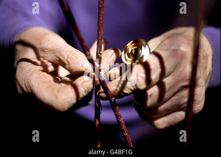 A flower arranger's hands are illuminated by a shaft of sunlight as she ties canes with horticultural wire and prepares a floral display at Salisbury Cathedral to create its spectacular Flower Festival which opens to the public on Tuesday 14. Around 500 volunteers will bring to life a creative vision, by Chelsea Gold Medalist (2009) Michael Bowyer, assisted by Pam Lewis and Angela Turner, arranging 29,345 stems of flowers, which encompasses the whole interior of the Cathedral. Stock Photo