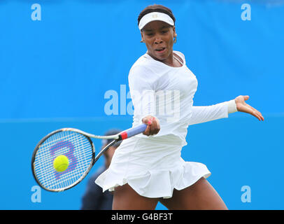 USA's Venus Williams in action during the AEGON International at Devonshire Park, Eastbourne. Stock Photo