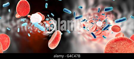 Illustration of rod-shaped bacteria in a blood vessel with red blood cells and leukocytes. Panorama 360-degree view inside blood vessel. Stock Photo