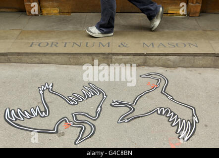 A pedestrian walks past chalk body outlines of two geese, part of a protest by animal rights group PETA against the sale of foie gras at Fortnum & Mason, in Piccadilly, central London. Stock Photo