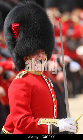Colonel's Review of the Trooping the Colour Parade Stock Photo