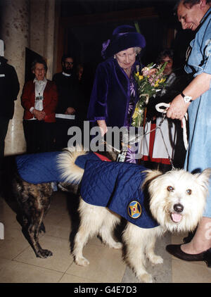 THE QUEEN MOTHER MEETS IS INTRODUCED TO TWO CANINE RESIDENTS OF THE STAR AND GARTER HOME FOR EX-SERVICEMEN AND WOMEN IN RICHMOND, SURREY. THE QUEEN MOTHER OFFICIALLY OPENED THE BLACK WATCH SUITE DURING HER VISIT TO THE HOME. Stock Photo