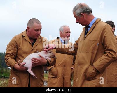 Assistant farm manager Sean Bailey (left) shows a piglet to Prince Charles as Matthew Fort (centre) looks on during a visit to Bunkers Hill organic pig farm, King's Lynn, Norfolk. Stock Photo