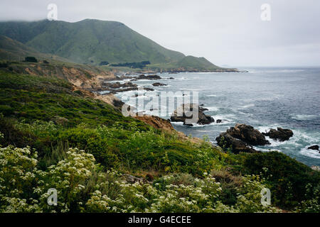 View of the Pacific Ocean and   mountains at Garrapata State Park, California. Stock Photo