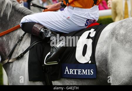 Horse Racing - 2011 Glorious Goodwood Festival - Glorious Ladies Day - Goodwood Racecourse Stock Photo