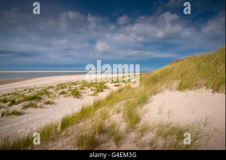 lonely beach with  dunes on the island of Spiekeroog in the German wadden Sea Stock Photo