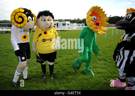 Burton Albion mascot Billy Brewer (2nd left), Derby County mascot Rammy the Ram (left), Help the Hospices mascot Sunny the Sunflower and Notts Coutny mascots Mrs Magpie (right) at Uttoxeter Racecourse Stock Photo