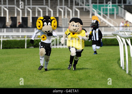 Derby County mascot Rammy the Ram (left), Burton Albion mascot Billy Brewer (2nd left) race head to head ahead of Notts County mascot Mr Magpie (right) during a warm up race Stock Photo