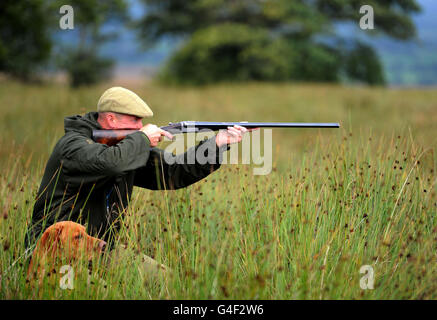 Richard Wolfden, a moorland gamekeeper for the forest of Bowland on the North Yorkshire and Lancashire border, shooting on the Glorious 12th, which traditionally signals the start of the grouse shooting season. Stock Photo