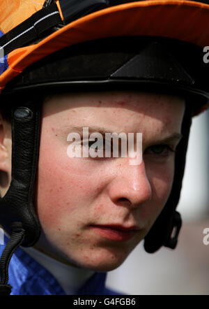 Horse Racing - Ebor Festival 2011 - Juddmonte International - York Racecourse Stock Photo