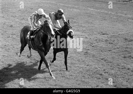 Redundant, ridden by Geoff Lewis (left), comes in first to win the September Handicap. Less than a pace behind is runner up Relkalim, ridden by Brian Taylor. The meeting had been transferred to Kempton from Sandown Stock Photo