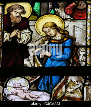 Stained Glass window in St Gummarus Church in Lier, Belgium, depicting a Nativity Scene at Christmas Stock Photo