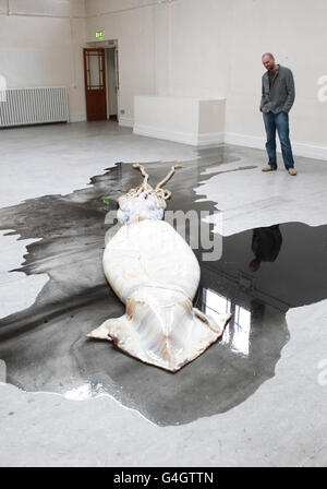 dublin-contemporary-2011-stock-photo-alamy