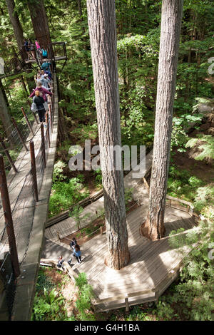 Wooden walkways suspended in the air at the Capilano Suspension Bridge park in North Vancouver Stock Photo