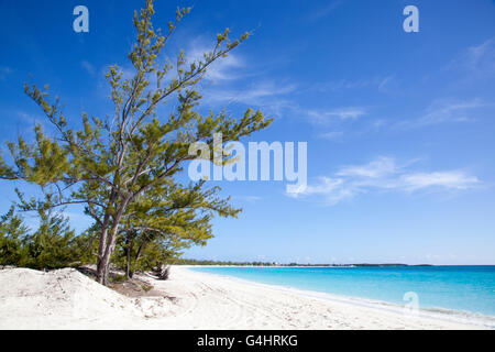 The view of an empty beach on uninhabited island Half Moon Cay (The Bahamas). Stock Photo