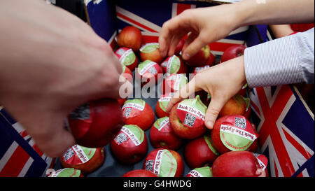 Delegates help themselves to apples handed out by Shadow Environment Secretary Mary Creagh as part of the Back The Apple campaign, at the Echo Arena on Day 3 of the Labour Party conference, Liverpool. Stock Photo