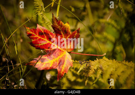 Weather Sept 21 Stock Photo