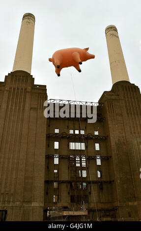 A giant inflatable pig flies above Battersea Power Station on the banks of the river Thames in central London, during a recreation of the cover of the Pink Floyd album 'Animals' - released 35 years ago - to celebrate the release of 'Why Pink Floyd', a digitally remastered box set of all 14 Pink Floyd studio albums. Stock Photo