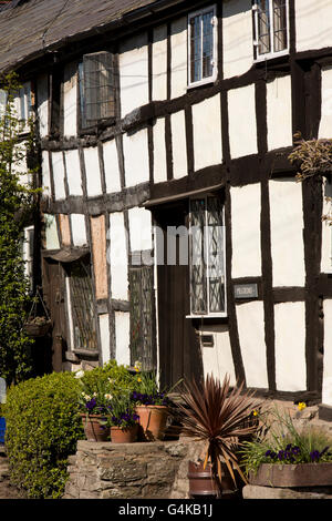 UK, England, Herefordshire, Pembridge, East Street, medieval timber framed roadside Pilgrims house Stock Photo