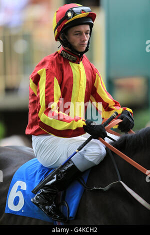Horse Racing, Ripon Racecourse. David Allan, jockey Stock Photo