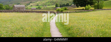Paved path through a wildflower meadow near Muker in Swaledale Stock Photo