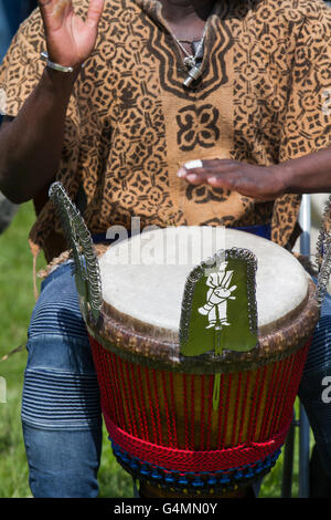 Africa Oye, an anuual event held at Sefton Park in Liverpool, Merseyside, UK Stock Photo