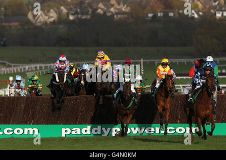 Horse Racing - The Open 2011 - Paddy Power Gold Cup Day - Cheltenham Racecourse. Action from the Paddy Power Gold Cup Chase Stock Photo