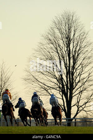 Horse Racing - Fakenham Racecourse Stock Photo