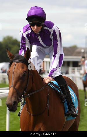 Jockey Joseph O'Brien on Furner's Green goes to post in the sportingbet.com Acomb Stakes Stock Photo