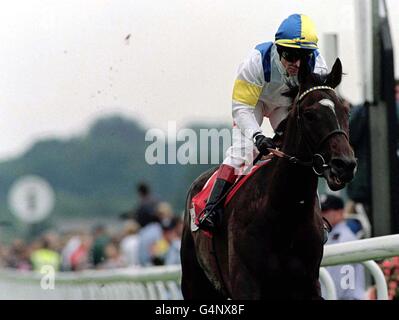 Vicious Circle ridden by Kevin Darley, easy winners of the Ebor Handicap at the York races. Stock Photo