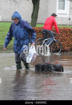 A man walking his dogs makes his way along Orchard Road near Bridge of Allan which is flooded due to heavy rain. Stock Photo