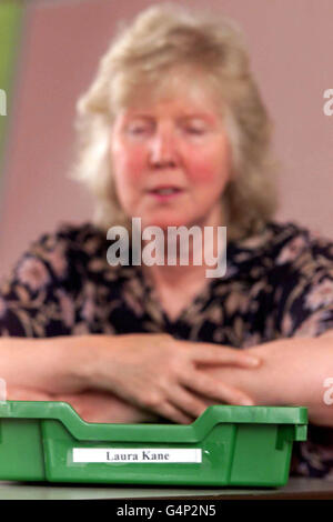 Laura Kane/School Teacher 2 Stock Photo