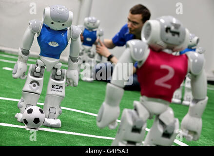 Leipzig, Germany. 31st May, 2016. Hannes Hinerasky of the HTWK team preparing Nao-Robots for a test match on new turf at a lab of the University for Technology and Economy in Leipzig, Germany, 31 May 2016. The team participated in the World Robot Soccer Championship several times. Now they prepare for the 20th RoboCup that will be held in Leipzig between 30 June and 4 July. Roughly 3.5000 participants and 500 teams from 40 countries are expected. PHOTO: JAN WOITAS/dpa/Alamy Live News Stock Photo