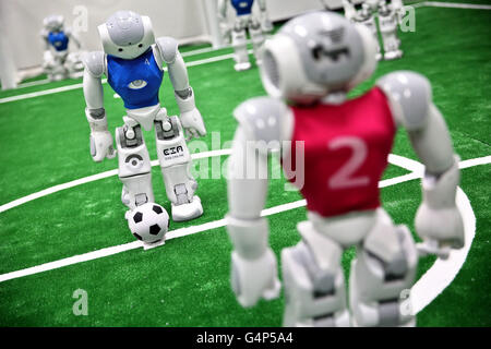 Leipzig, Germany. 31st May, 2016. Nao-Robots on new turf at a lab of the University for Technology and Economy in Leipzig, Germany, 31 May 2016. The team participated in the World Robot Soccer Championship several times. Now they prepare for the 20th RoboCup that will be held in Leipzig between 30 June and 4 July. Roughly 3.5000 participants and 500 teams from 40 countries are expected. PHOTO: JAN WOITAS/dpa/Alamy Live News Stock Photo