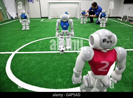 Leipzig, Germany. 31st May, 2016. Nao-Robots on new turf at a lab of the University for Technology and Economy in Leipzig, Germany, 31 May 2016. The team participated in the World Robot Soccer Championship several times. Now they prepare for the 20th RoboCup that will be held in Leipzig between 30 June and 4 July. Roughly 3.5000 participants and 500 teams from 40 countries are expected. PHOTO: JAN WOITAS/dpa/Alamy Live News Stock Photo