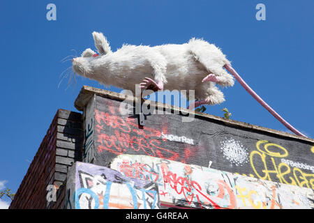 The 'Ratpack' art project on Liverpool's Gin Lane.  The rat sculpture is made from recycled plastic bottles Stock Photo