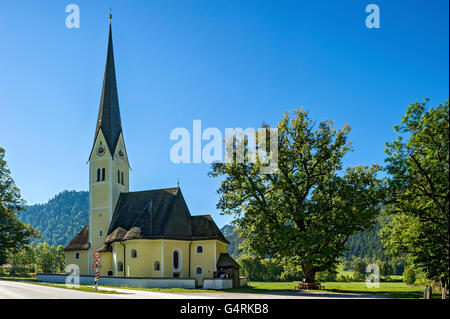 St. Leonhard pilgrimage church, old lime tree, Fischhausen, Schliersee, Upper Bavaria, Bavaria, Germany Stock Photo