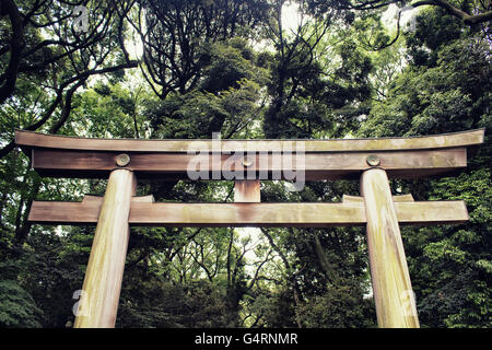 Old gate at Meiji Shrine in Yoyogi Park in Tokyo Stock Photo