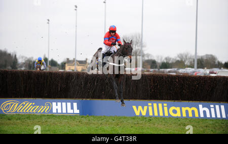 Horse Racing - The William Hill Winter Festival 2011 - The Desert Orchid Chase - Kempton Park. Sprinter Sacre ridden by Barry Geraghty jumps the last to go on to win The Williamhill.com Novices' Chase Stock Photo