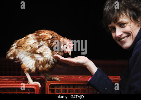 British Hen Welfare Trust founder Jane Howorth with Britain's last battery hen, Liberty, who has been re-homed retirement at a farm in Chulmleigh, Devon, marking the end of an era for commercial laying hens, the charity said. Stock Photo