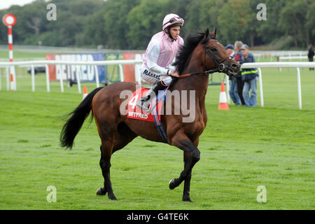 Horse Racing - Rose of Lancaster Stakes Day - Haydock Park Racecourse. Fallen Idol ridden by William Buick goes to post for the Betfred Rose Of Lancaster Stakes Stock Photo