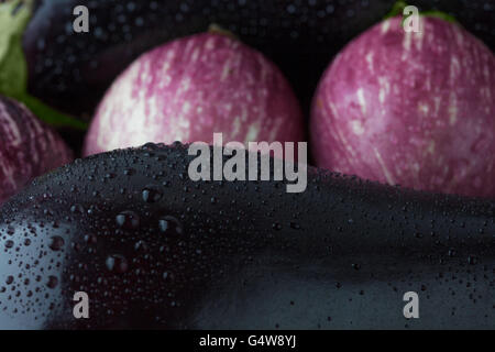 Wet black and purple striped eggplants extreme closeup. Shallow depth of field Stock Photo