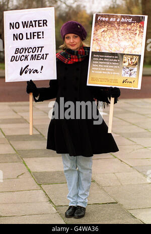 Former 60s supermodel-turned actress Twiggy (real name Lesley Hornby) helps to launch a national campaign to stop the factory farming of ducks following a report published by animal charity Viva! (International Voice of Animals). * The Viva! report says the aquatic birds are kept in squalid, cramped conditions inside small sheds and are not provided with water to swim in. Stock Photo