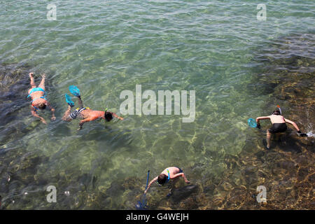 Family snorkeling in transparent water Stock Photo